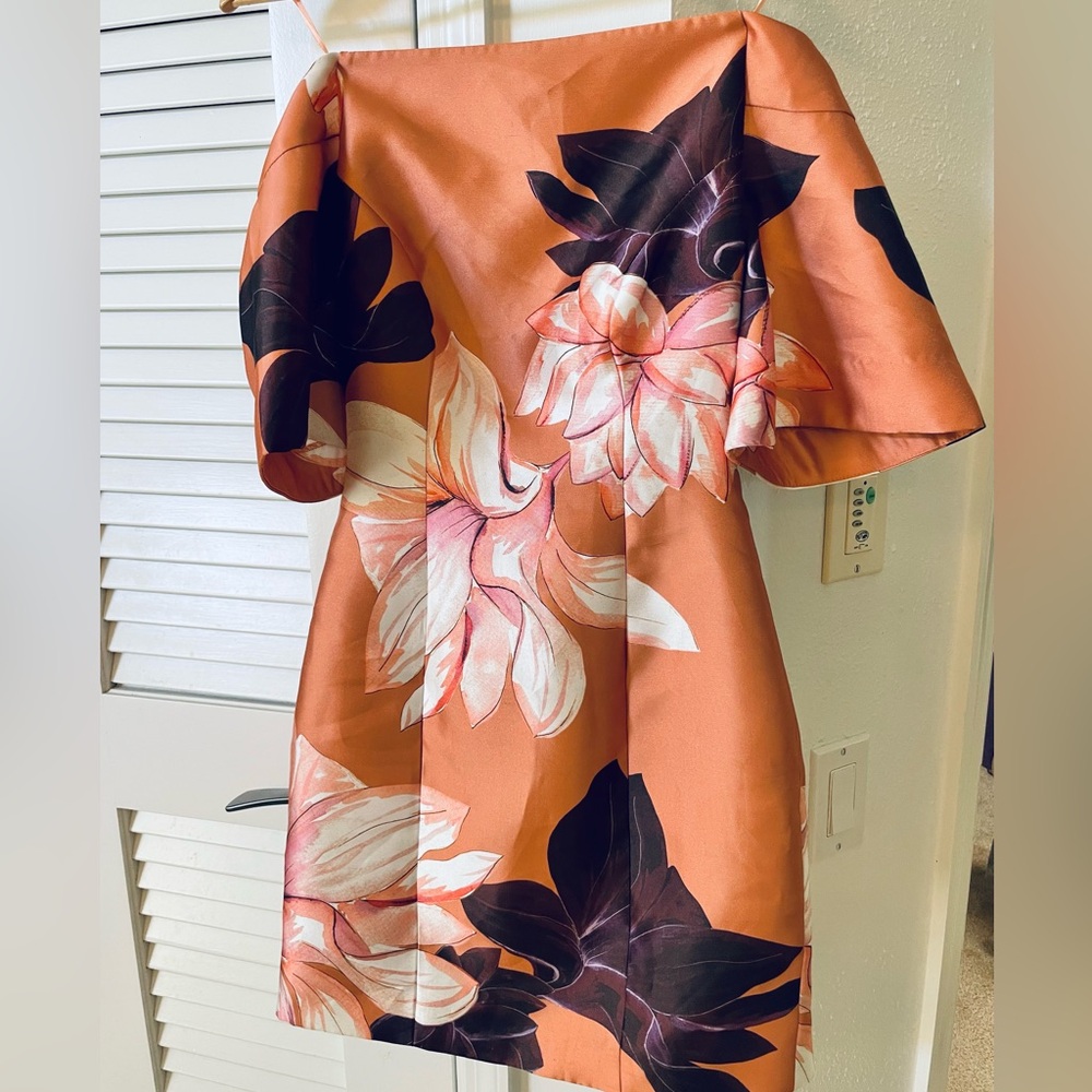 KEEPSAKE the Label Terracotta Dress